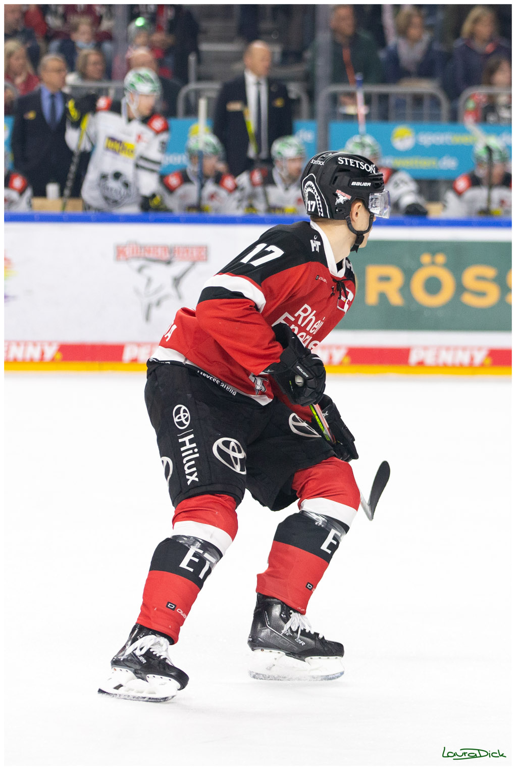 PENNY DEL;  Koelner Haie - Krefeld Pinguins; Koeln, 31.10.2021